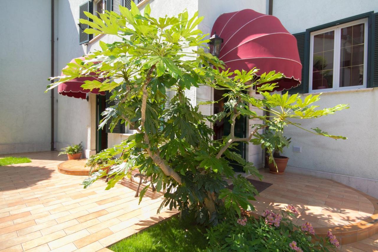 Villa Sveta Eufemija Bed End Breakfast I Rovinj Zewnętrze zdjęcie