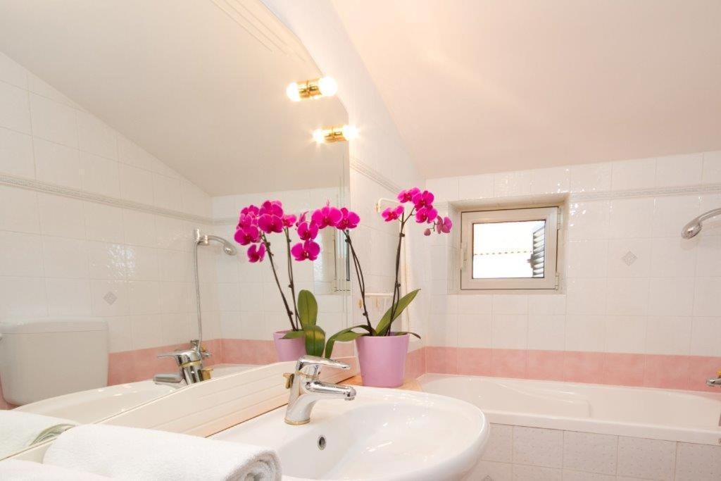 Villa Sveta Eufemija Bed End Breakfast I Rovinj Zewnętrze zdjęcie