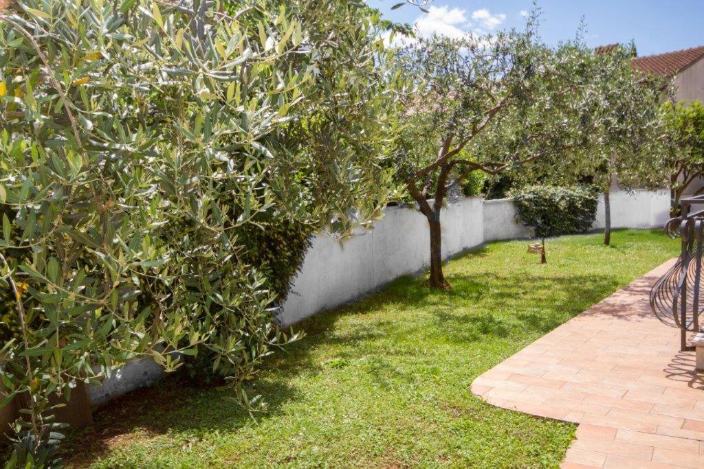 Villa Sveta Eufemija Bed End Breakfast I Rovinj Zewnętrze zdjęcie