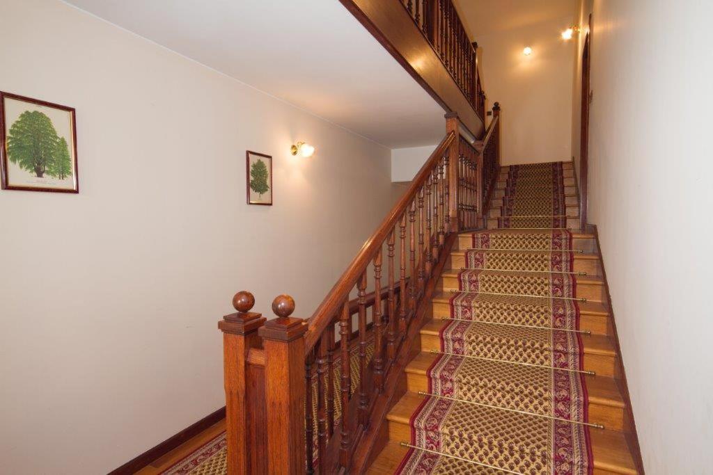 Villa Sveta Eufemija Bed End Breakfast I Rovinj Zewnętrze zdjęcie